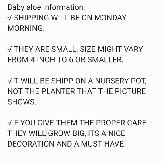 2 Baby aloe pup - Picture 5 of 9